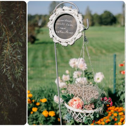 Meistare Laura Silniece